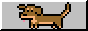 Dachshund